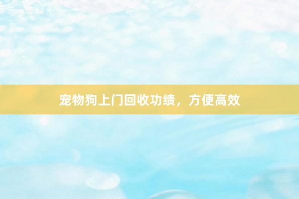 宠物狗上门回收功绩,方便高效