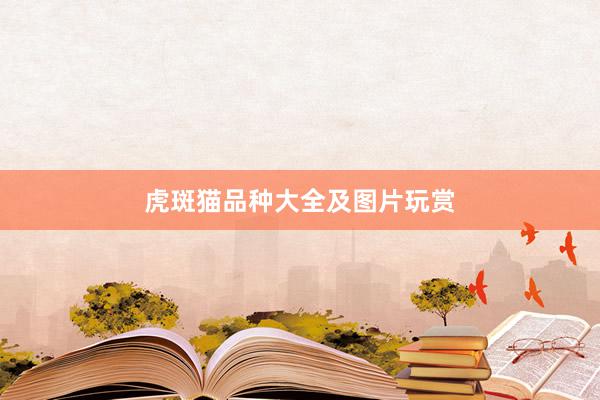 虎斑猫品种大全及图片玩赏
