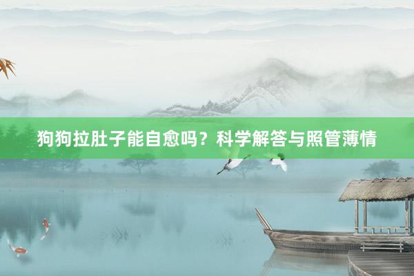狗狗拉肚子能自愈吗？科学解答与照管薄情